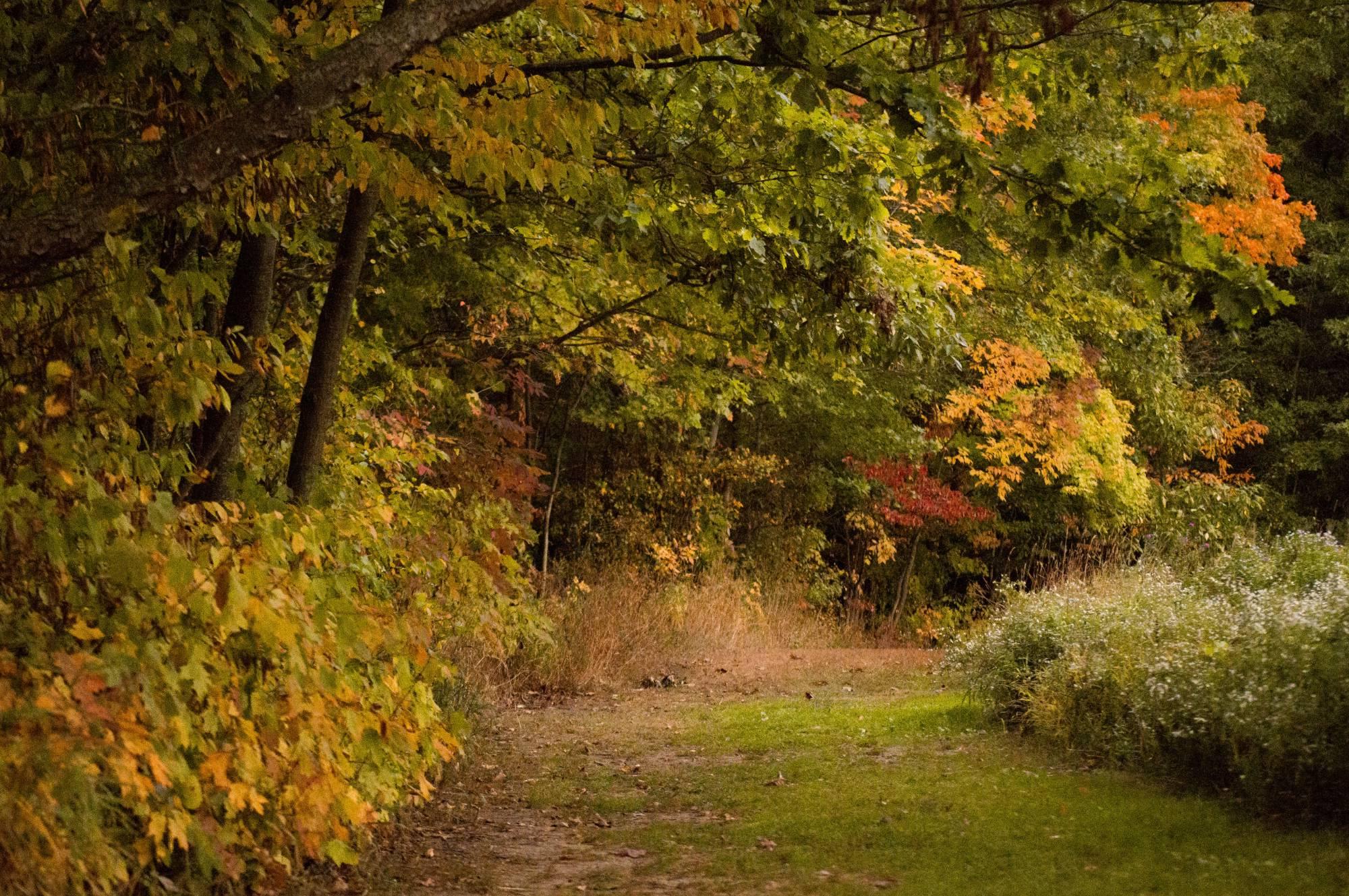 Grand Ravines Park (North)